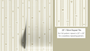 “Wallpaper sizing guide showing how to measure wall width and height and calculate the number of 20 inch wide panels needed.”