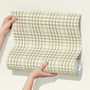 Roll of green and white checkered wallpaper held by a person against a light background